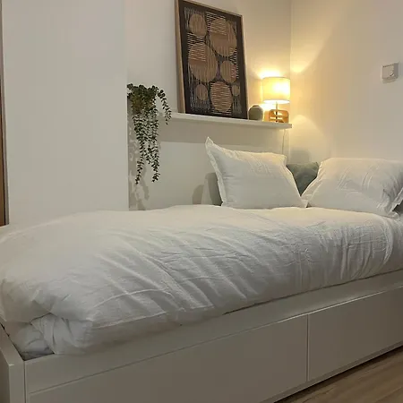 Puesta De Sol Y Nieve Apartment